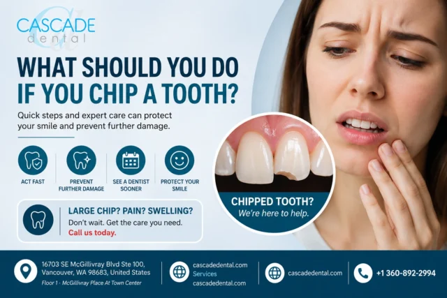 what should you do if you chip a tooth
