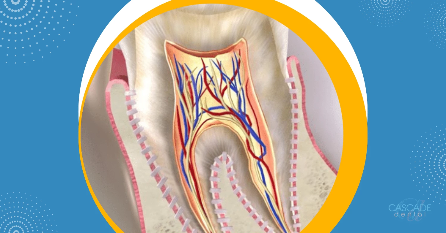 identifying symptoms understanding dental nerve damage indicators